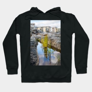 Lakeshore Bulrush Hoodie